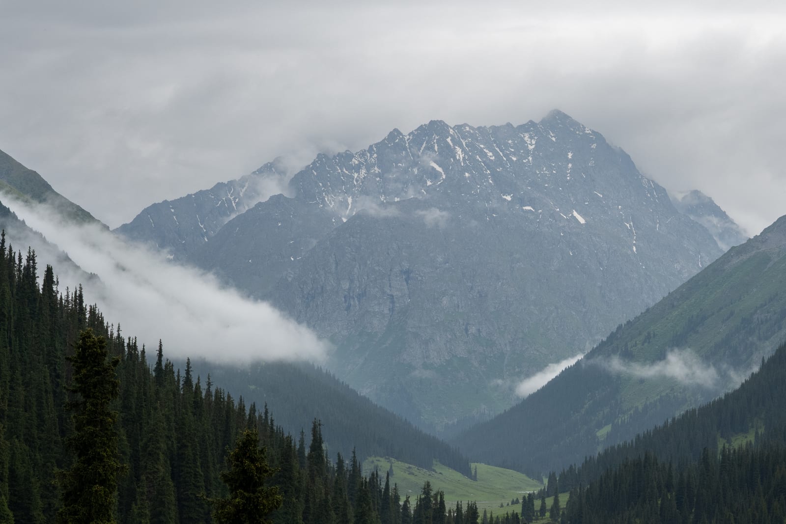 Low cloud drifting through a forested valley below a grey mountain