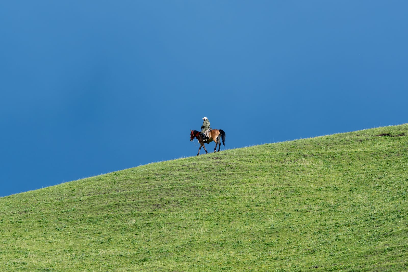 Tiny lone horseman on the crest of a smooth green hill against a blue sky