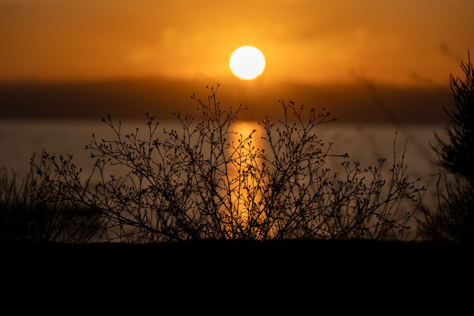 Orange sun over a lake with silhouetted bare branches in the foreground