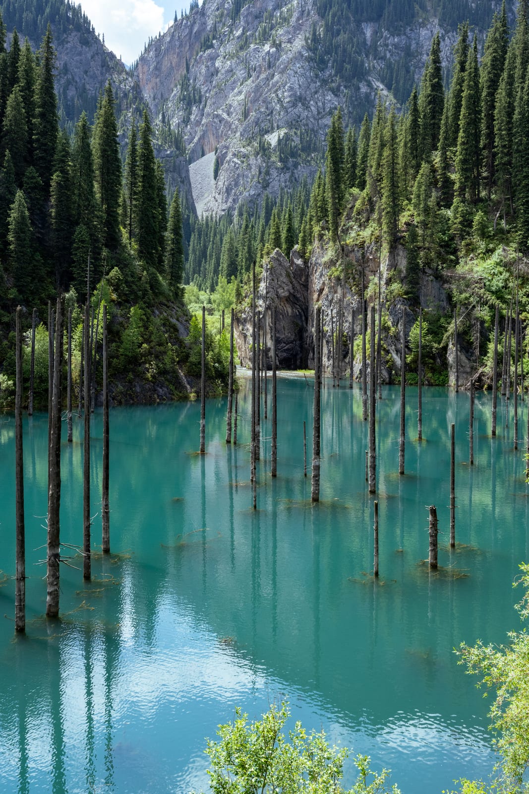 Vertical view of the sunken forest in turquoise water with a rocky peak above