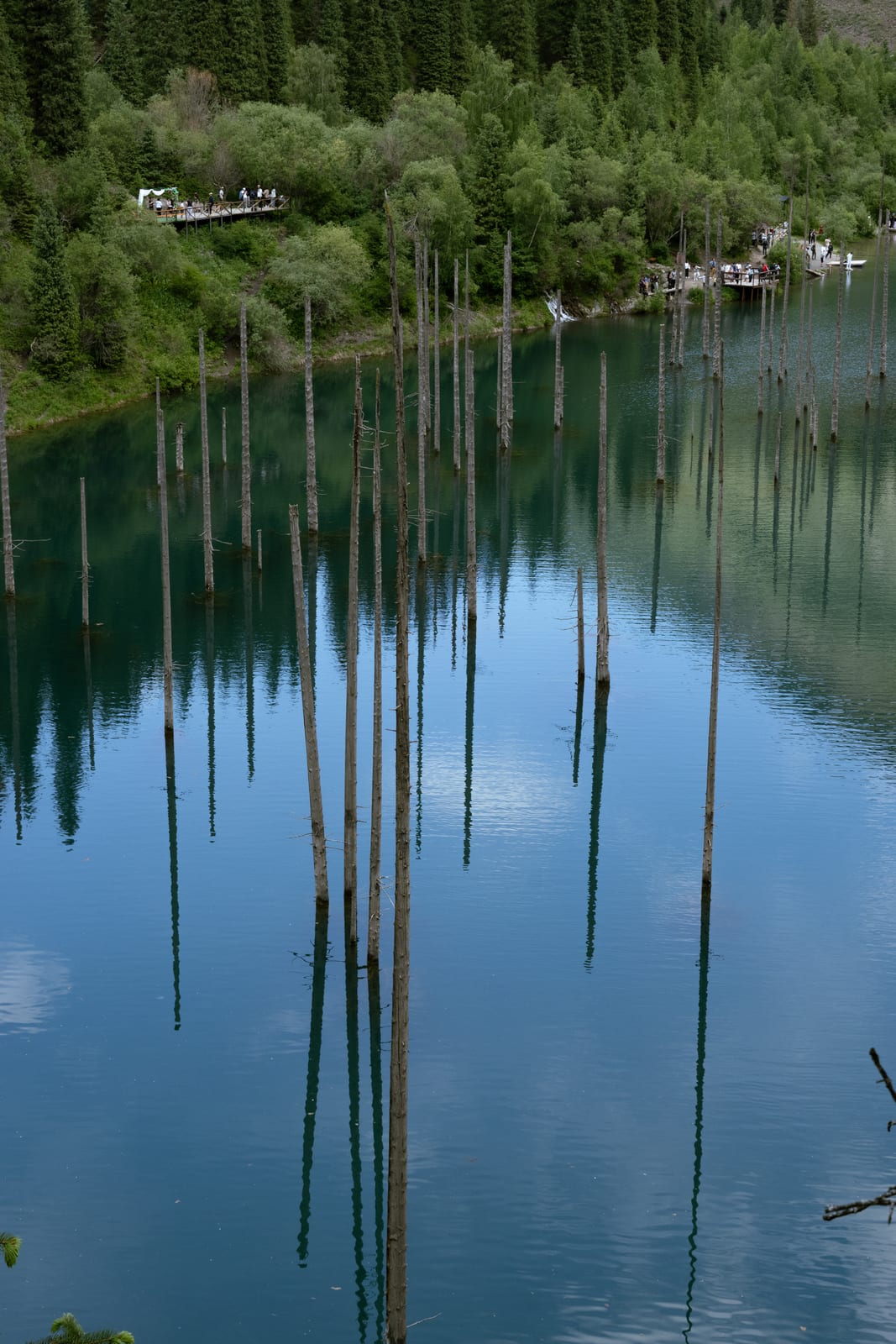 Dead trunks and cloud reflections on dark blue lake water seen from above