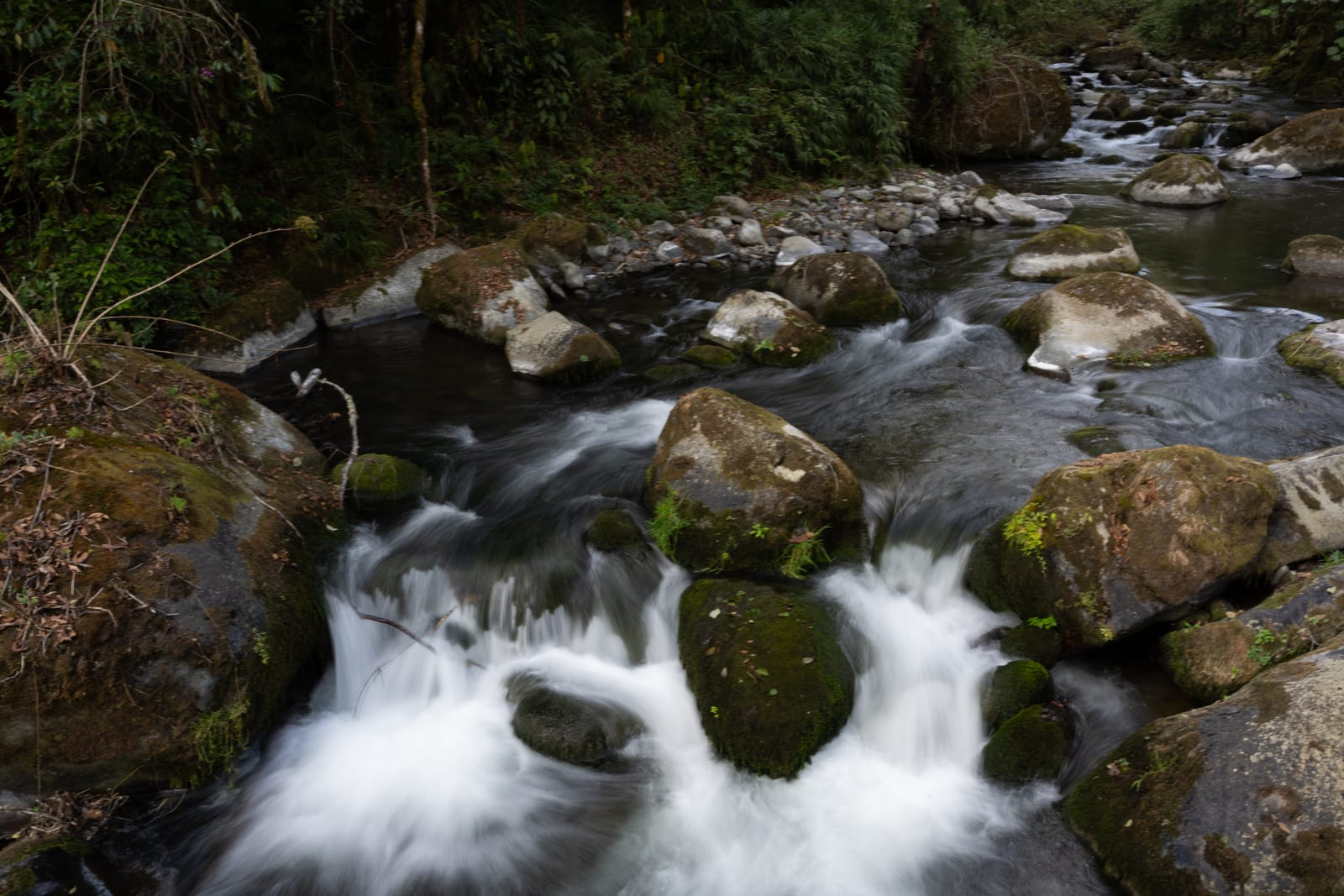 Silky long-exposure cascade over dark rocks in a forest stream