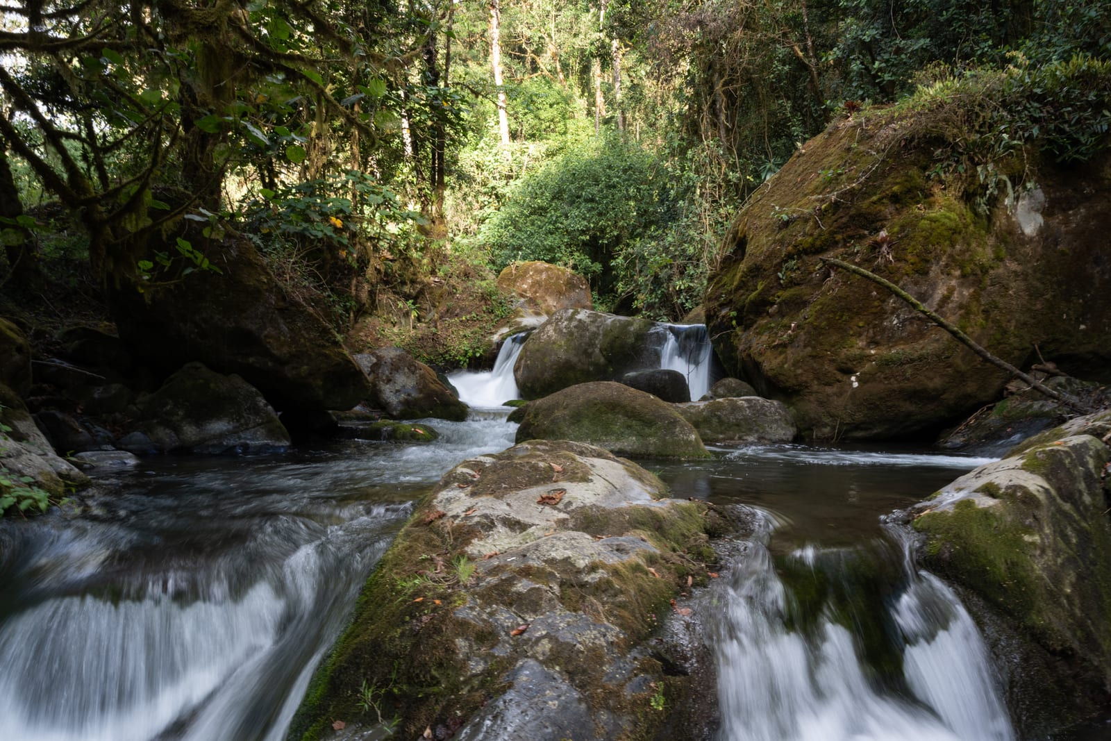 Long-exposure stream flowing around mossy boulders in forest