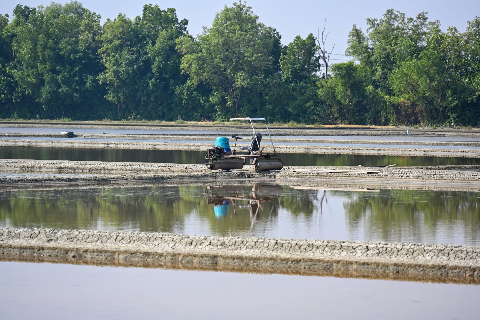 Lone worker in a flooded salt field with tree line reflected
