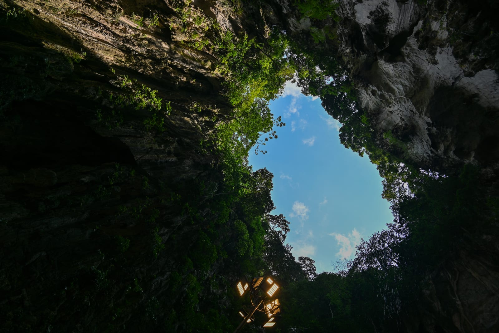 Looking up through a cave skylight ringed with foliage to blue sky
