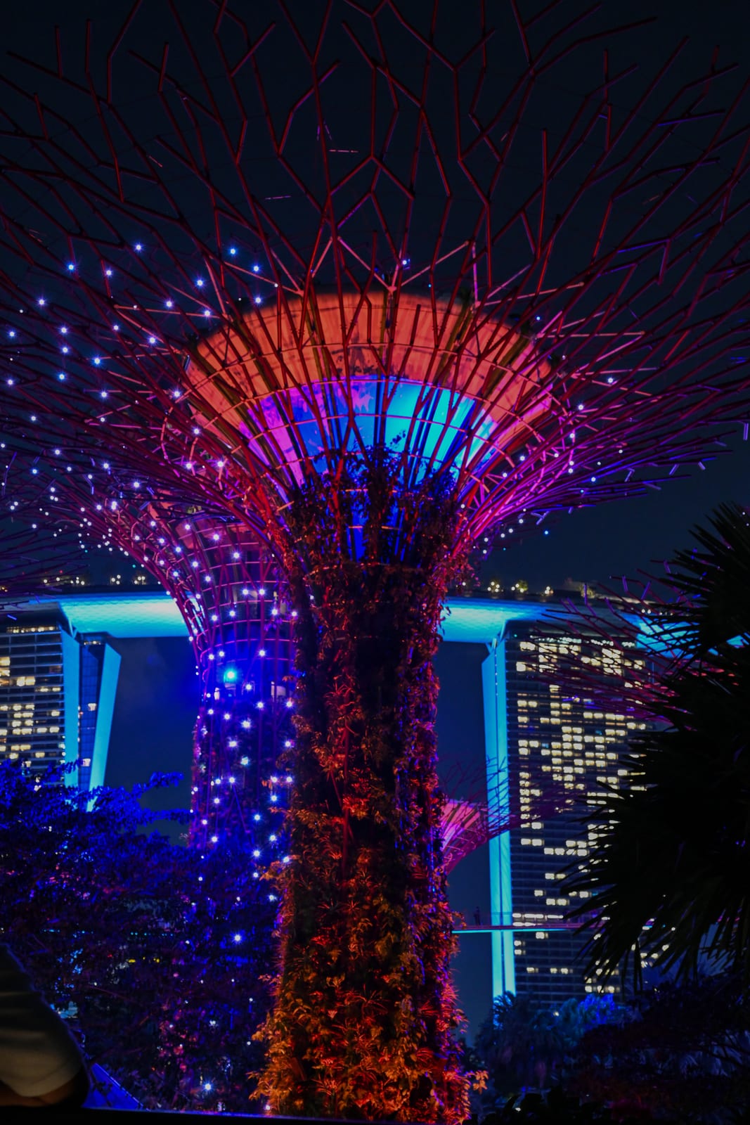 Supertree lit red and blue from below with Marina Bay Sands behind