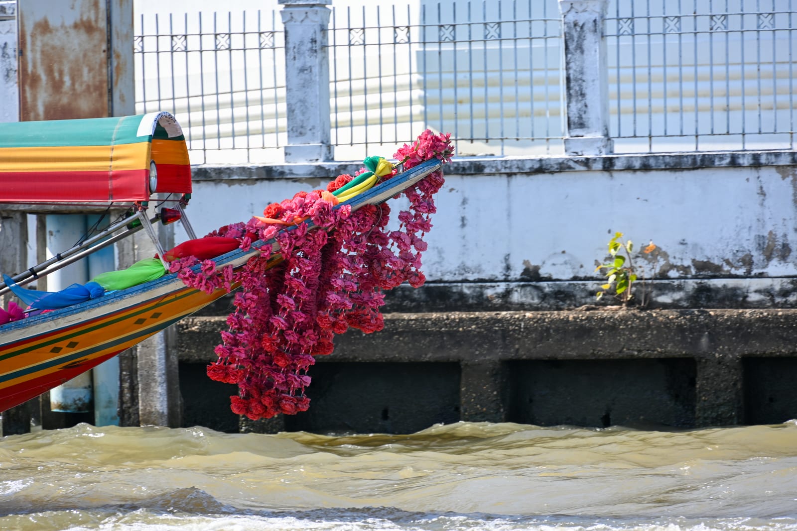 Longtail boat prow draped in pink flower garlands against a white river wall