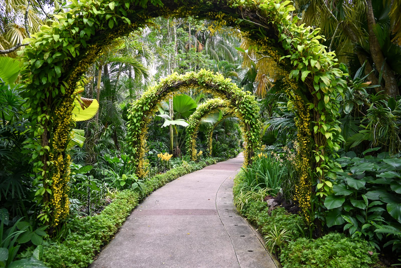 Garden path under a series of flower-covered arches