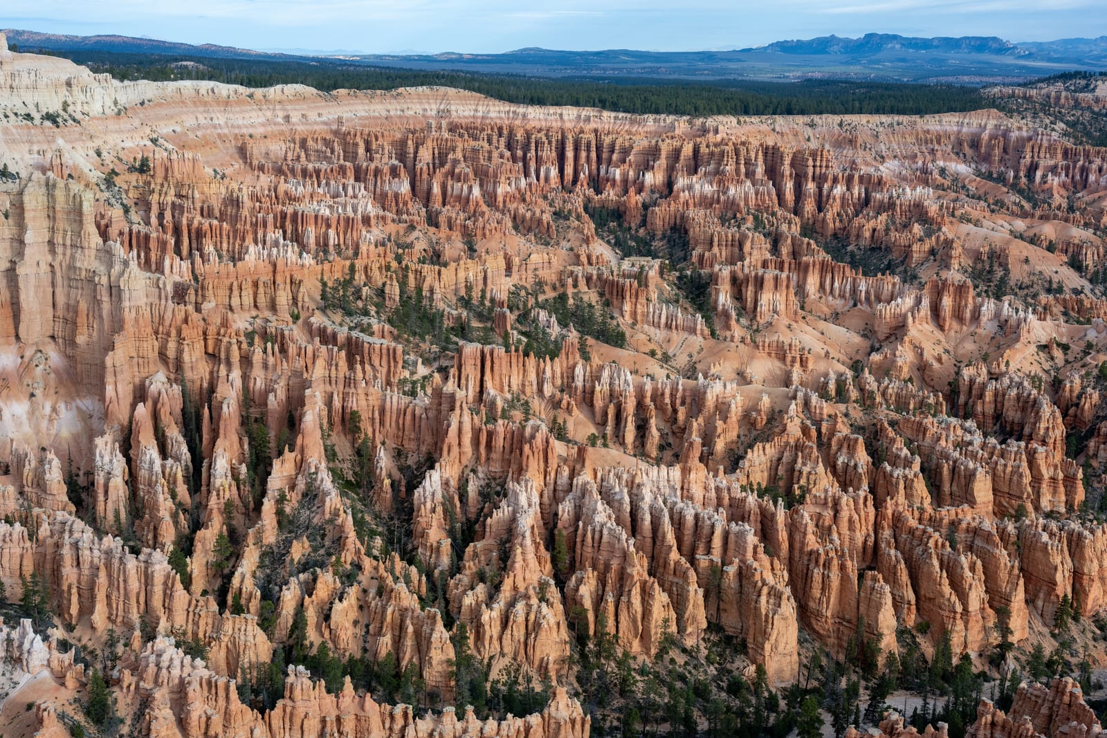 Wide view of Bryce amphitheater packed with orange hoodoos under blue sky
