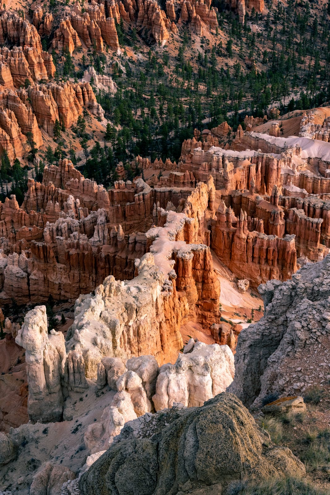 Sunlit white and orange hoodoo ridge winding through shadowed formations