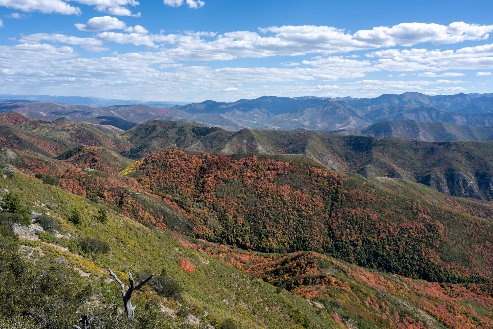 Rolling mountain ridges covered in red and orange fall foliage under scattered clouds