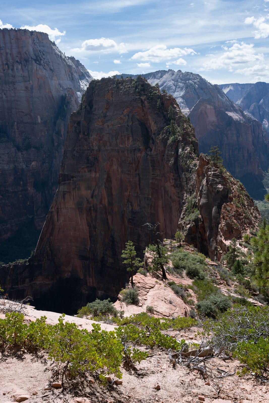 Angels Landing fin rising above Zion canyon with green shrubs in foreground